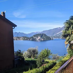 Pinus , Varenna Italy